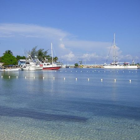 Beach Studio 18 Ocho Rios Exteriör bild